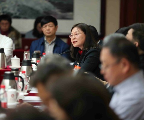 郭媛媛委员在新闻出版界小组讨论会上发言